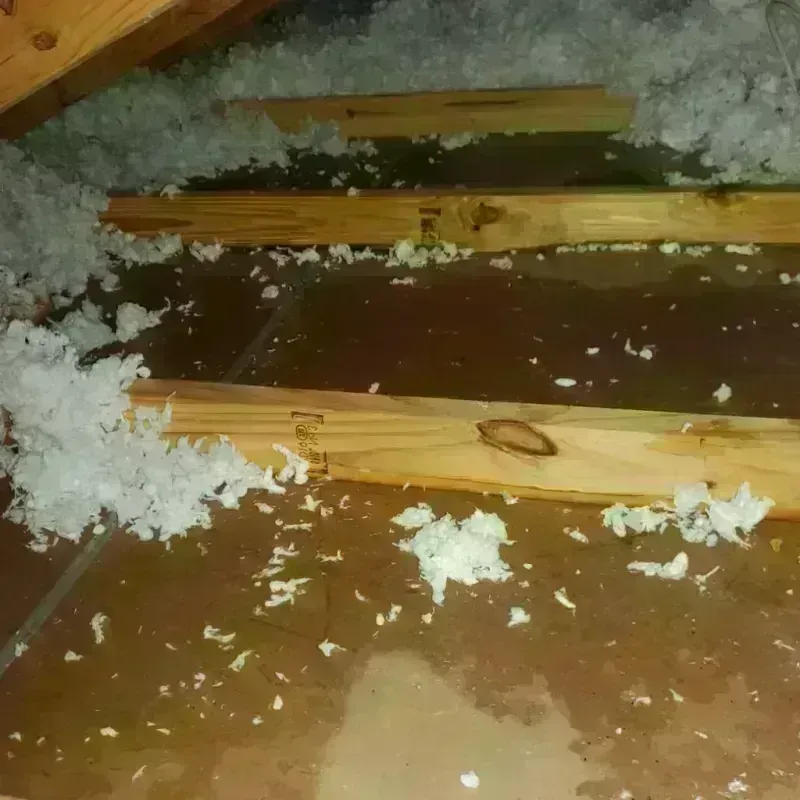 Attic Water Damage in Ben Lomond, CA